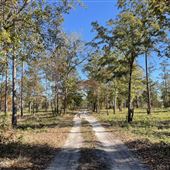 Trask Farms- Brunswick County Hunt Club