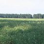 Faircloth Farm