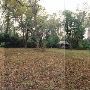 HOUSE #10002007
