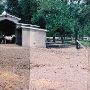 Peterson Stables
