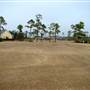 Saint James Plantation - Croquet Court
