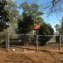 House #10051950