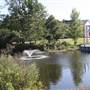 University of North Carolina at Wilmington - Leutze Lake