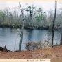 Northeast Cape Fear River (Holly Shelter)