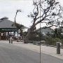 Bald Head Island Ferry Landing - Mainland (Old)