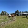 Horton's Rehab Ranch, Inc
