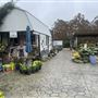 Johnson Nursery