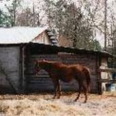 Tyner Ranch