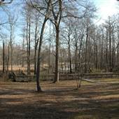 Davis Creek Park Docks
