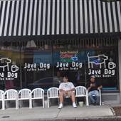 Java Dog