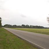 Blueberry Road