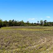 NC State Port Property - Southport