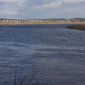 River Bluff Property