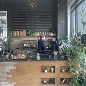 Cafe Mata