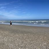 Carolina Beach - Beach Overview