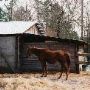 Tyner Ranch