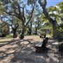 Franklin Square Park
