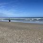 Carolina Beach - Beach Overview