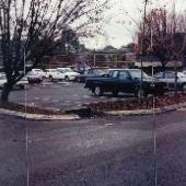 Pines of Wilmington, The