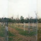 N.C. State Test Farm
