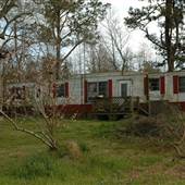 House #10051954