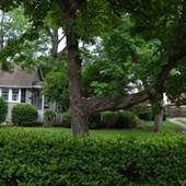 104 Frank & 908 Pinckney Street
