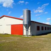 Shingleton Farms