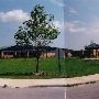 Codington Elementary School