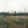 N.C. State Test Farm