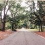 Intersection of Live Oak Parkway & Highland Drive