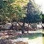 Rogers Bay Family Campway