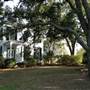 House #10060531