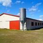 Shingleton Farms