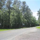 Old Savannah Road