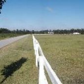 Saddlebrook Stables