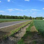 Brinson Road