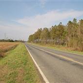 Horse Branch Road