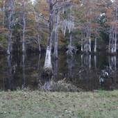 9959 Old Mill Road, SE