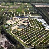 Green Biz Nursery