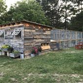 White Feather Farm