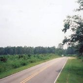 Blue Banks Loop Rd