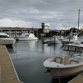Bridge Tender Marina