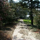 Airlie Gardens - Roads (New Hanover County)
