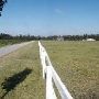 Saddlebrook Stables