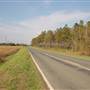 Horse Branch Road