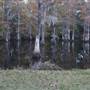 9959 Old Mill Road, SE