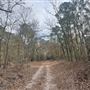 Cape Fear River Wetlands Game Land - Belhammon Tract