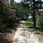 Airlie Gardens - Roads (New Hanover County)