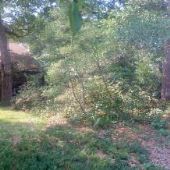 HOUSE #10005758