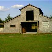 Little Shiloh Farm